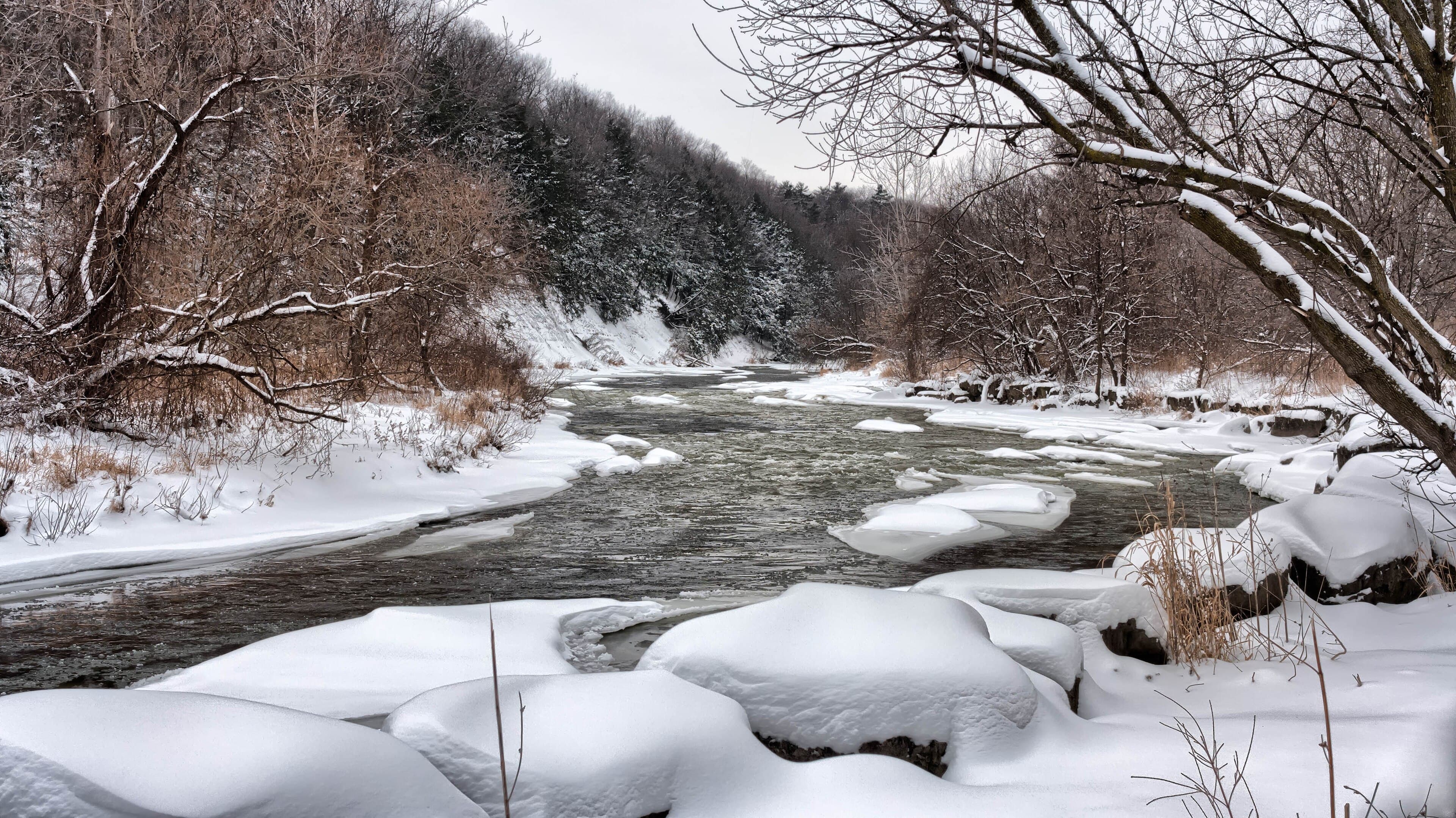 Mississauga photo 1
