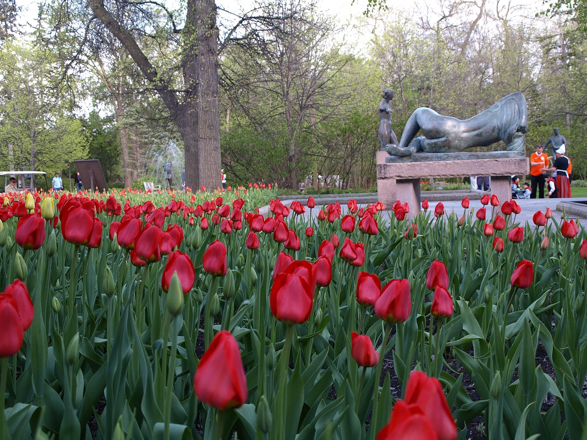 Winnipeg photo 1